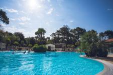 Sandrine GALLÉ - COM UNE CREVETTE - SG PHOTOGRAPHIE