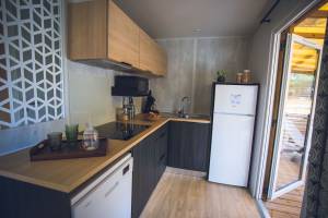 Sandrine GALLÉ - COM UNE CREVETTE - SG PHOTOGRAPHIE