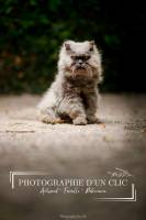 Roland ADOLPHE - Photographie d'un clic